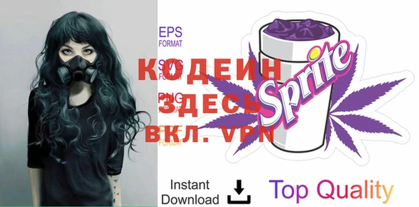 шишки Абаза