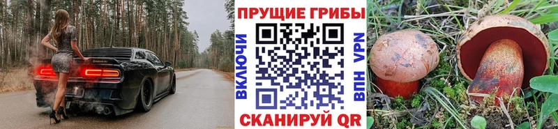 цены   блэк спрут как зайти  Псилоцибиновые грибы GOLDEN TEACHER  Аткарск 